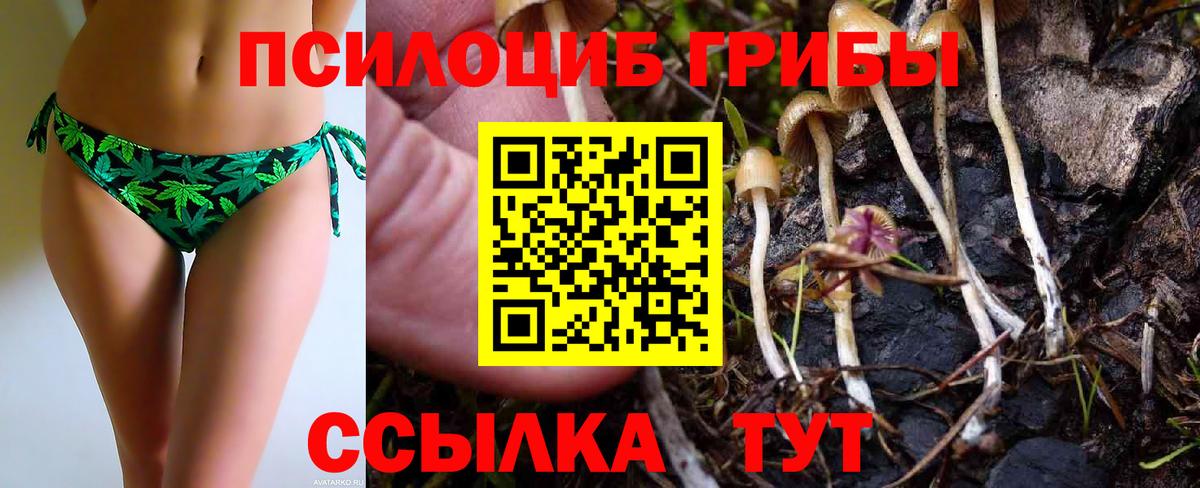 Сибай  купить наркотики сайты  Вход с VPN  Псилоцибиновые грибы мухоморы 